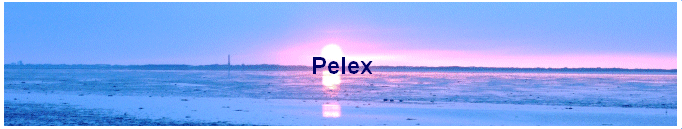 Pelex